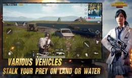 pubg国际服皮肤爆料最新,最新Pubg国际服皮肤爆料，潮流元素一网打尽！