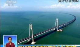 泰安大桥爆料最新消息,揭秘工程进度与亮点揭晓