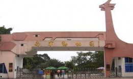 南宁动物园爆料案件最新,惊现动物逃脱事件，真相揭秘！