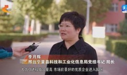 宁晋爆料最新消息新闻,揭秘新闻背后的真相与内幕