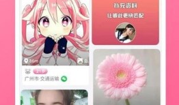 宝库最新爆料视频下载,探寻历史宝藏的神秘面纱