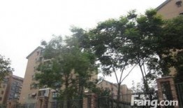 元氏龙湖湾小区最新爆料,揭秘神秘项目进展与周边配套升级