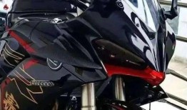 赛600最新爆料,揭秘神秘科技突破，未来已来！