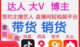 爆料人带货视频大全最新,爆款视频背后的秘密解析