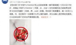 爆料网红博主视频大全最新,热门内容盘点与幕后故事