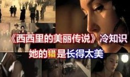 赵小姐爆料内容大全最新,揭秘娱乐圈幕后真相