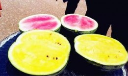 最新吃瓜爆料河北,揭秘背后惊人真相