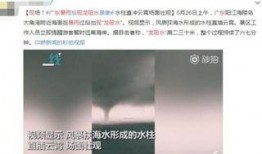 广东最新爆料消息视频,视频揭露惊人内幕，揭秘事件真相！