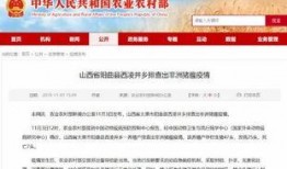 小雨最新爆料新闻报道,最新新闻报道揭秘