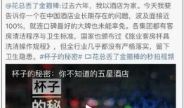 乐山酒店爆料事件最新,揭秘背后真相与行业反思