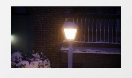 暴雪最新爆料视频下载,游戏新篇章即将开启